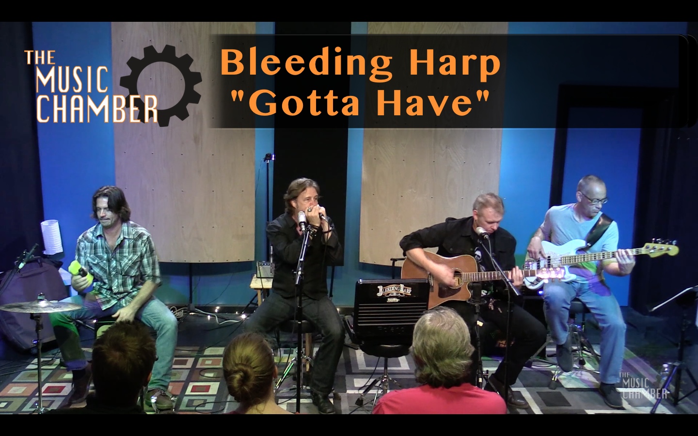 Bleeding Harp live on The Music Chamber at Ultimate Studios, inc